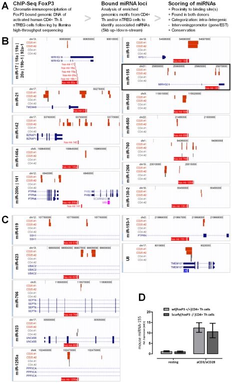 A Schematic Overview Of The Chip Seq Analysis Workflow Genomic Loci