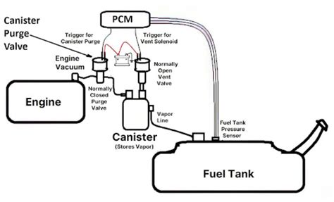 Evap Canister Price