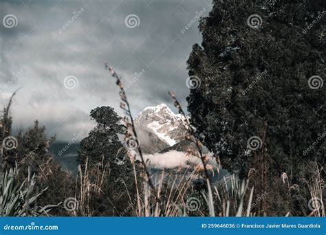 Impressive Landscape of the Imposing Snowy Mountains among the Trees of the Green Forest Under ...