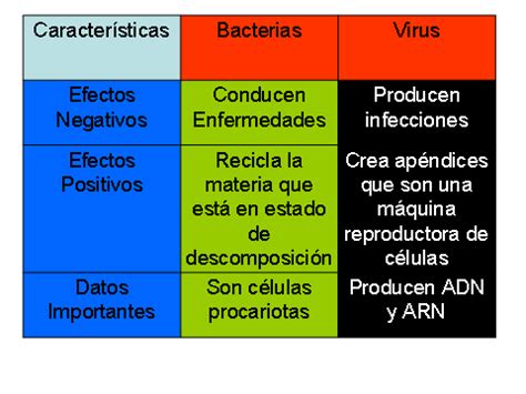 Cuadros Comparativos Entre Virus Y Bacterias Cuadro Comparativo