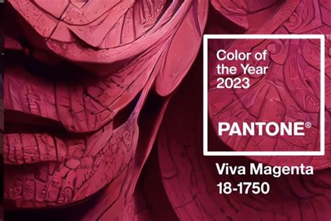 Color Pantone 2024 Viva Magenta Alla Lucita