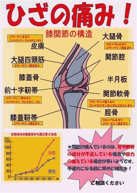 膝の痛み、腰痛、肩こり：漢方薬の通信販売