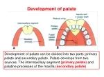 PPT - The Palate PowerPoint Presentation, free download - ID:2381564