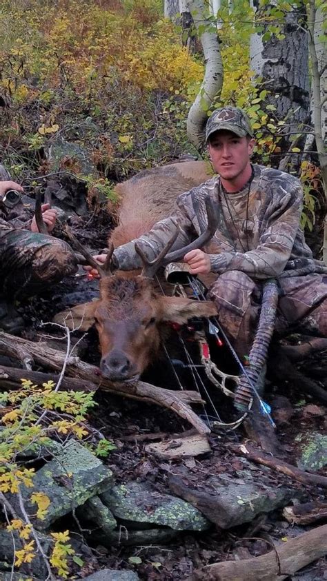 Colorado Elk Trip Bull Down Archery Talk Forum