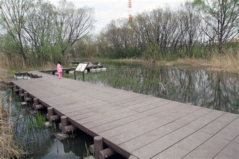 湿地帯のある埼玉県周辺の公園リスト／公園へ行こう！