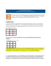 Understanding Punnett Squares Codominance And Sex Linked Course Hero
