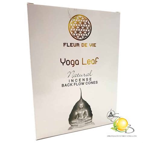 C Nes D Encens Backflow Fleur De Vie Yoga Spiritualit Et Bien Tre