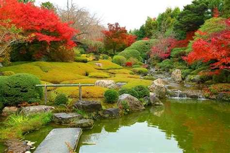 Autumn Exclusive Tour Of Taizo In Zen Buddhist Temple Myoushinji