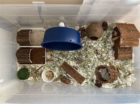 Naturalistic Hamster Bin Cage In 2024 Hamster Diy Cage Hamster