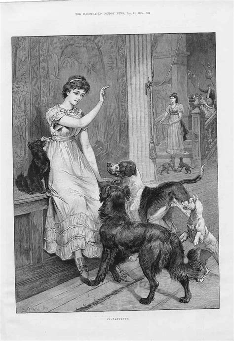 Victorian Dog Lady The Illustrated London News 1885 Illustrations