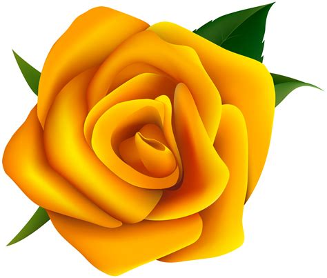 Rose Yellow Clip Art Yellow Rose Clipart Png Image Png Download