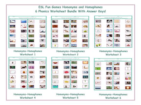 Homonyms Homophones Worksheet Bundle Teaching Resources Worksheets