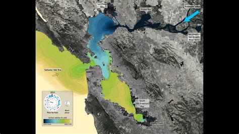 Salinity Simulation In San Francisco Bay Youtube