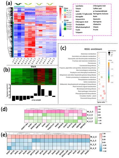 IJMS | Special Issue : Molecular World Today and Tomorrow: Recent ... 