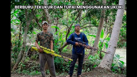 BERBURU TEKUKUR DAN TUPAI MENGGUNAKAN UKLIK DI HUTAN YouTube