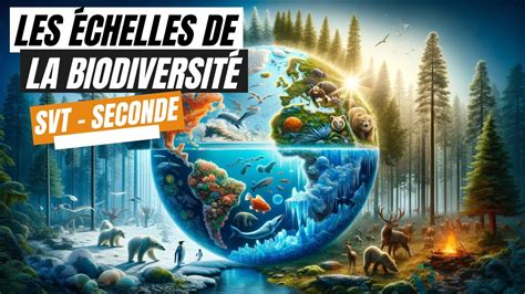 Les échelles De La Biodiversité Svt Seconde Youtube