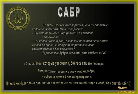 Фотоальбомы - Ислам - религия мира и созидания