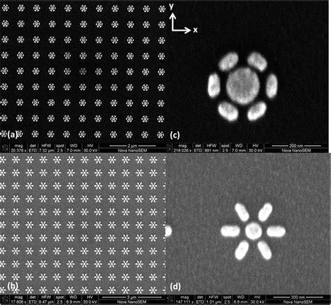 Scanning Electron Micrographs Of Low Magnification Images Showing The Download Scientific