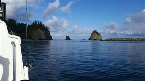 All Ways Fishing La Push All You Need To Know Before You Go