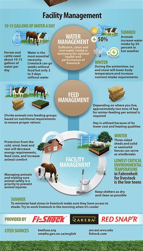 Master the Art of Grazing Management
