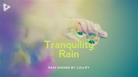 Tranquility Rain 1 Hour Of Rainfall For Relaxation Rain Sounds By