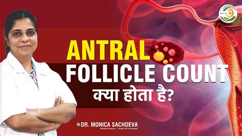 Antral Follicle Count क्या होता है Dr Monica Sachdeva Youtube