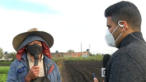 Frio intenso preocupa produtores rurais do Alto Tietê Mogi das Cruzes