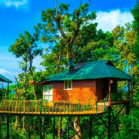 Tree Resorts Munnar – Clubazzurro