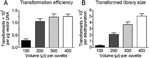 Electroporation Efficiency Is Significantly Improved By Increasing The