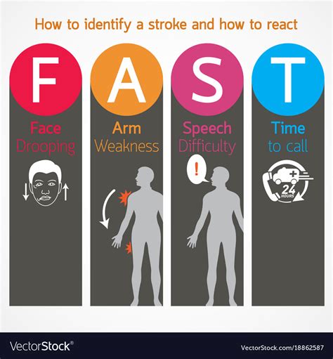 Stroke Warning Signs And Symptoms Royalty Free Vector Image