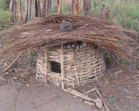 12 Inspiring Urban Chicken Coop Designs | Home Design, Garden & Architecture Blog Magazine