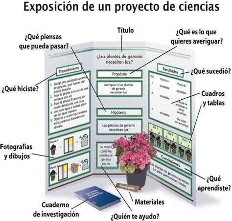 Un Proyecto Escolar Proyectos De Feria De Ciencias Proyectos De Ciencia Secundaria Proyectos