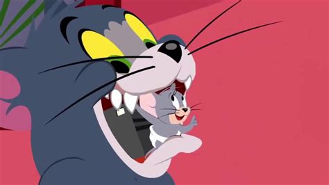 Tom And Jerry Cartoon Full Episodes Hd Popular Video Collection 2017 Youtube