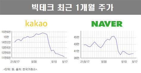 빅테크 같은 규제 다른 전망 네이버·카카오 엇갈리는 주가전망