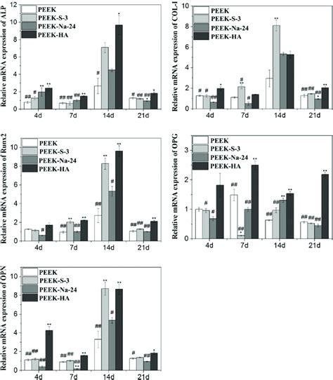 The Osteogenic Gene Expressions In Mc T E Cells After Culturing On