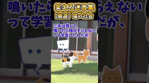 【2ch面白スレ】笑える迷言集から厳選「猫の社会」 Shorts │ トリビアンテナ 5chまとめアンテナ速報