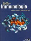 Immunologie Abbas Abul K Lichtman Andrew H Pober Jordan S