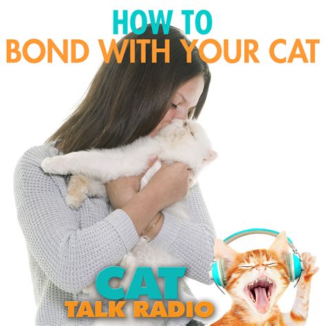 How to Bond with your Cat