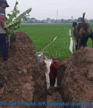 Kekeringan Lahan Pemkab Bekasi Bangun Pompa Normalisasi Air Sungai Ke