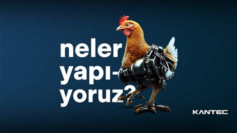 Neler Yap Yoruz Tavuk Kesimhanelerine Zel Robot Ve Makine