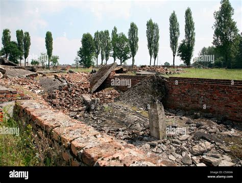 Auschwitz Birkenau Gaskammer Fotos Und Bildmaterial In Hoher