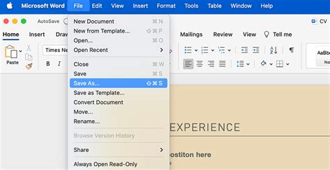 microsoft word definition   ms word   envato