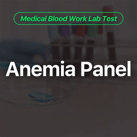 Anemia Panel Blood Work Lab Test Wittmer Rejuvenation Clinic