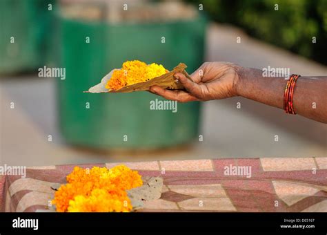 Flower Seller By The Raj Ghat Memorial At The Cremation Site Of Mahatma