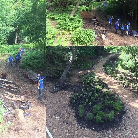 New York Restoration Project: A Gardener's Journal - Smithsonian Gardens