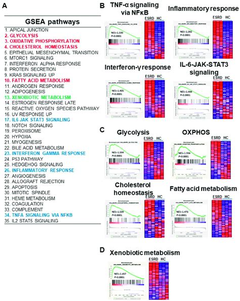 Gene Set Enrichment Analysis Gsea Of Degs In Esrd Patient Derived