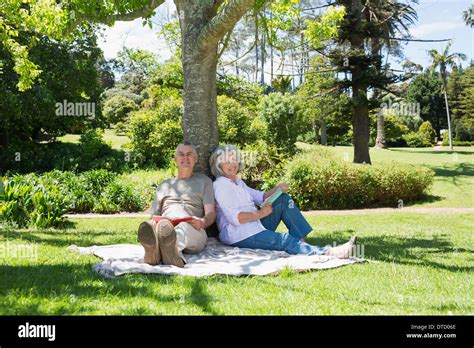Smiling Mature Couple Sitting Against Tree At Park Stock Photo Alamy