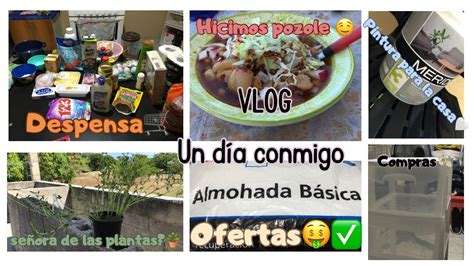 Despensa Quincenal Ofertas Comprando Cosas Para La Casa Pozole