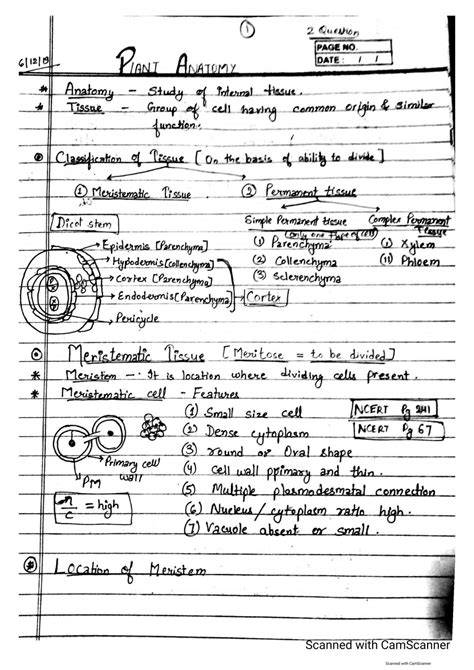 Solution Neet Biology Handwritten Notes On Plant Anatomy Topper S