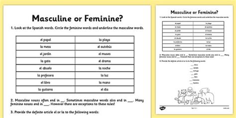 Spanish Masculine And Feminine Gender Worksheet Twinkl